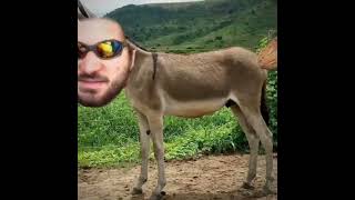 me ajuda a bater 500 inscritos nesse ano