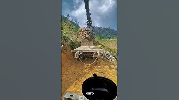 Loading Logs with an Excavator onto a Transport Truck | Efficient Material Handling