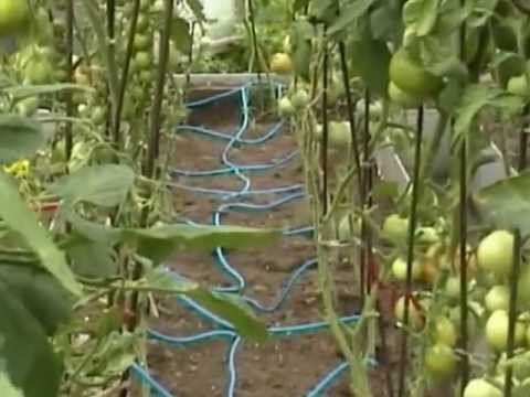 Куклы из холодного фарфора своими руками видео Куклы из холодного фарфора своими руками видео