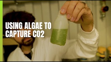 Using Algae to Convert CO2