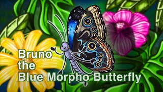 Storytime with Bruno the Blue Morpho Butterfly