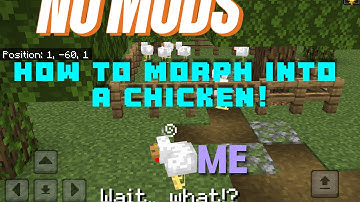 How To Morph Into A Chicken In Minecraft ! No mods!!! | Minecraft bedrock | tutorial | @Darkhill159