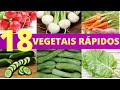 18 Vegetais pra você Plantar e Colher em 60 DIAS