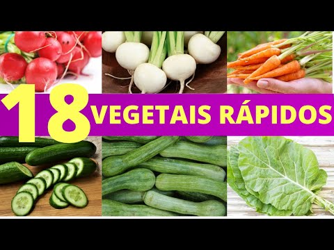 Vídeo: Dicas sobre como escolher um local de jardim para vegetais