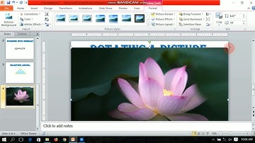 Class 6 Ch-4 Slide Organisation (part 2) Computer