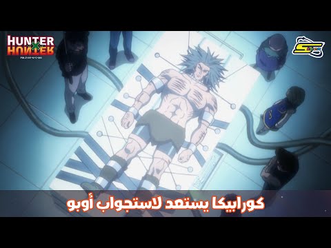 سبيستون | Hunter x Hunter - كورابيكا يستعد لاستجواب أوبو
