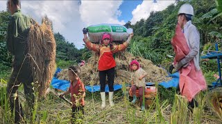 Mother and child went to help farmers harvest rice.