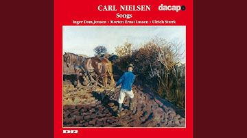 5 Digte (5 Songs) , Op. 4, FS 12: No. 2. I Seraillets have (In the Seraglio Garden)