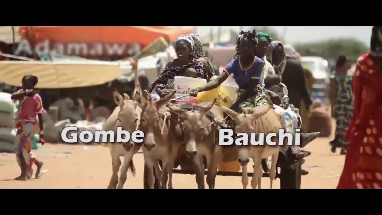 Nigeria's Great Green Wall YouTube