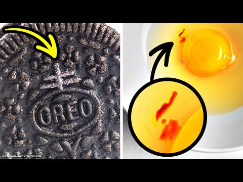 100+ Random Facts I Found Googling All Night