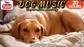20 HOURS of Dog Calming Sleep Music🐶💖Anti Separation Anxiety Relief🦮🎵 Stressed Dog⭐Healingmate