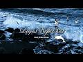 Cozy Rainy Night Hypnotherapy For DEEPEST NIGHT REST (NO ADS)