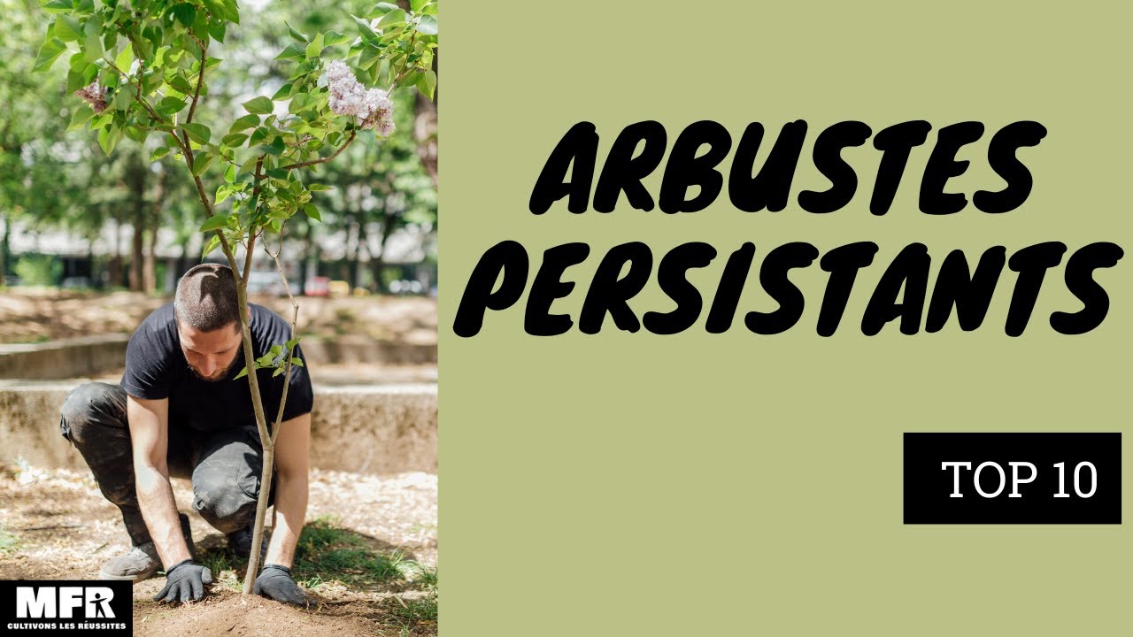 Arbustes persistants 2020 Vidéo You tube TOP 10