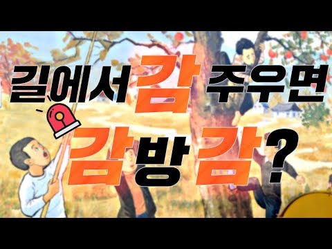 [진짜?] 길에서 ‘떼’로 모여 감 주우면 ‘감방’간다