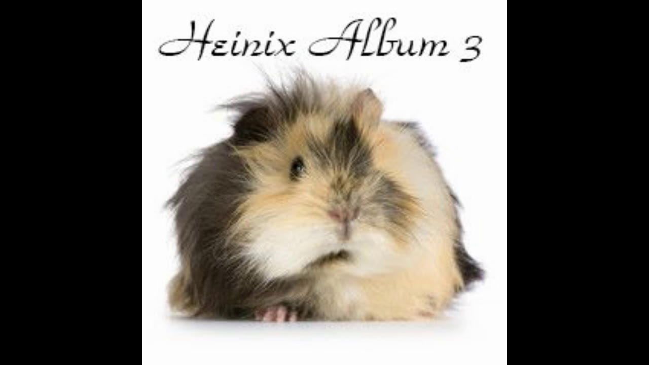 Heinix - What do you wont from me