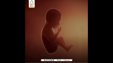 {خُلِقَ الْإِنسَانُ مِنْ عَجَلٍ ۚ سَأُرِيكُمْ آيَاتِي فَلَا تَسْتَعْجِلُونِ} 💔(37)سورة  الأنبياء