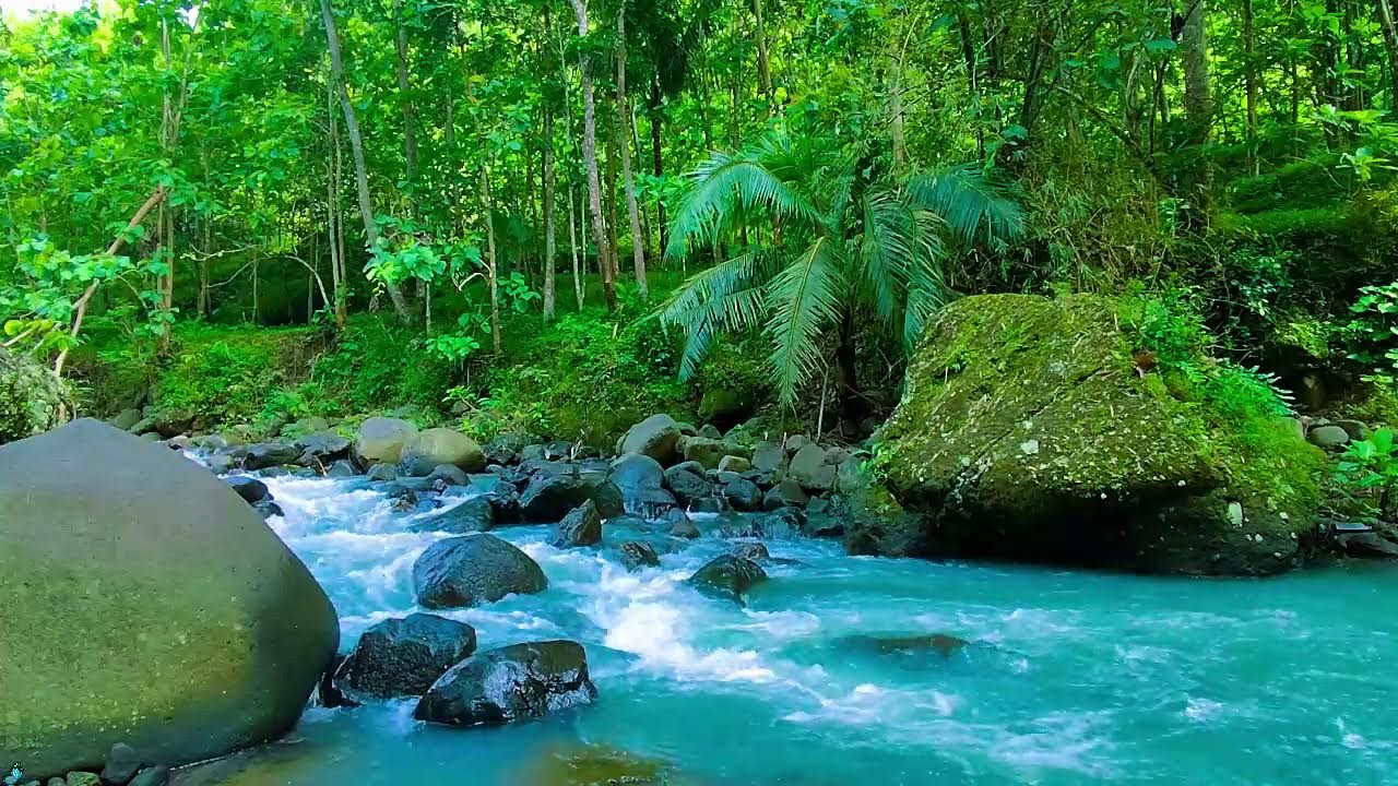 Peaceful Morning River Sounds 🌲💧 Calm Water Sounds for Relax