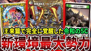 5cデッキ ヴィルヘルム4枚構成 cd2.jpg