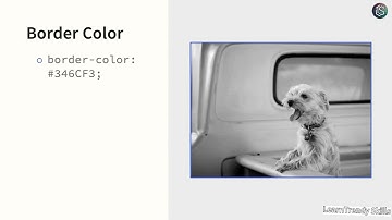 Applying Borders and Backgrounds in CSS | Styling Elements Made Easy