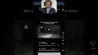 💀💀💀💀 #fyp #reels #viral #streamer #reaction #suit #tie #live