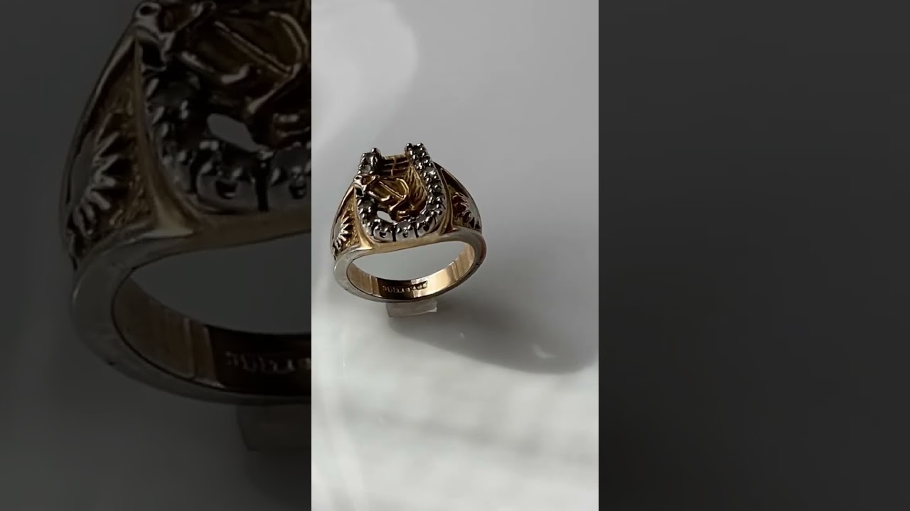 アメリカヴィンテージリング厄除けの意味を持つ馬の蹄鉄【海外