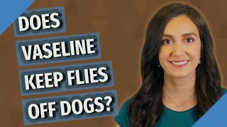 Does Vaseline keep flies off dogs?