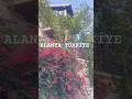 TURKEY -Alanya Tophane çeşmenin önü#alanya#viral #travel #shorts