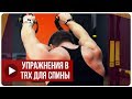 Александр Мельниченко - Упражнения в TRX для спины | 63