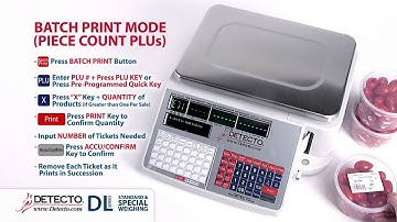 DL Series Standard and Special Weighing