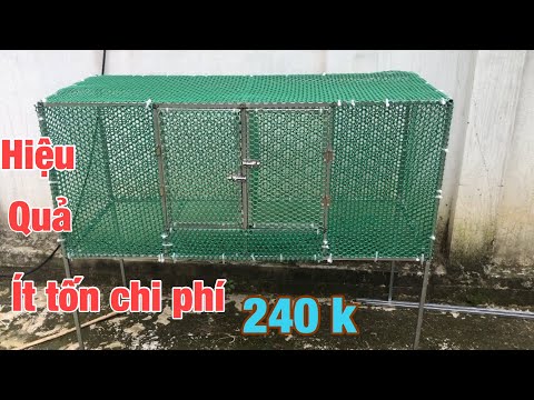 Làm chuồng úm g..à con hiệu quả và chi phí thấp