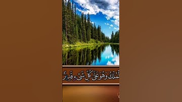 #shortvideo #المغرب #العراق #السعودية #القرآن_الكريم #islam #تلاوة_خاشعة #الجزائر
