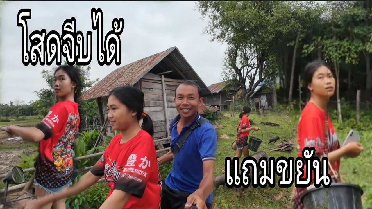 สาวชูคนขยันสาวเผ่าภูไทยังโสดครับ