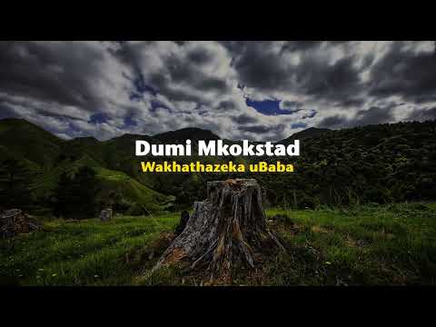 Dumi Mkokstad - Wakhathazeka uBaba (Official Lyric Video)