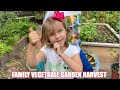 Family Vegetable Garden Harvest