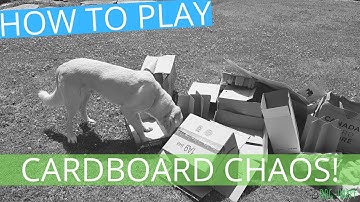 How To Play Cardboard Chaos | DOG-HAPPY Dog Training