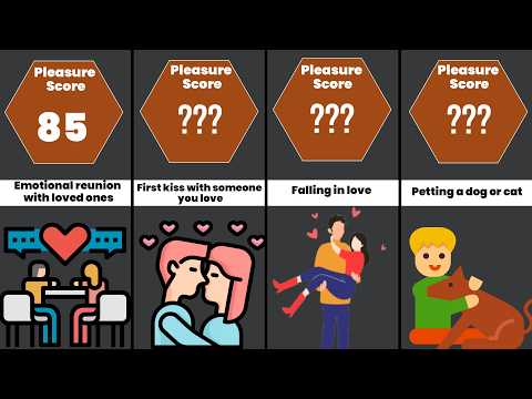 Comparison: The Most Pleasurable Things Humans Can Feel 😍