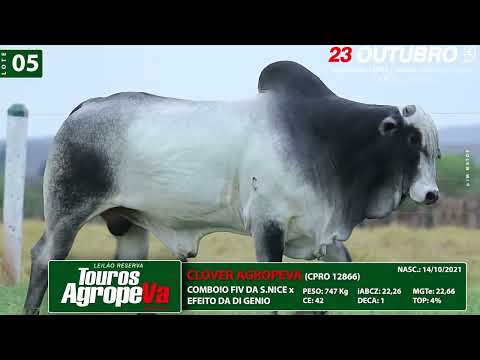 LOTE 05   CPRO 12866