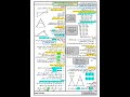 ملخص المقطع الأول في مادة الرياضيات للسنة الرابعة متوسط