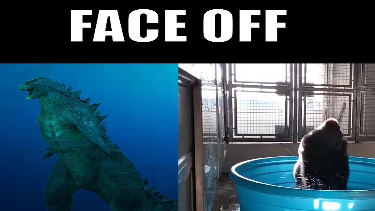 Godzilla vs Kong face off