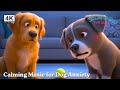 Adjusted Colors Cartoons for Dogs&#39; Eyes 🐶 A Touching Story About a Silent Hero and a Surprise Gift