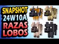 ✅ 8 RAZAS de LOBOS 👉 Snapshot 24W10A Minecraft 1.21 image