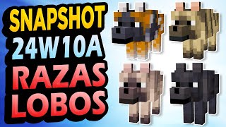✅ 8 RAZAS de LOBOS  Snapshot 24W10A Minecraft 1.21