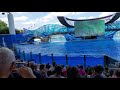 SeaWorld Kasatka 4K.Шоу касаток 4K.ч3