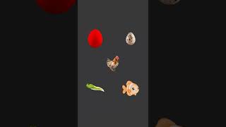 place mothers according to their eggs #music #animals #shorts #mother