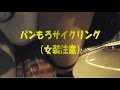 女装サイクリング　パンチらどアップ