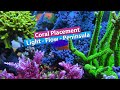 Coral Placement -Lighting, flow, Spacing., Peninsula