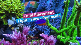 Coral Placement Lighting, flow, Spacing., Peninsula