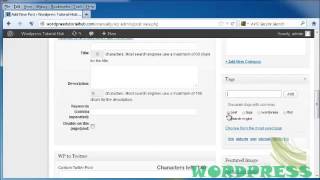 WP 3x Tutorial 11: Tags Overview Net Worth