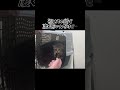 お家通いを頑張ってケガを治した野良猫✨#野良猫#地域猫#保護猫