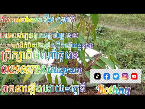 ចែករំលែកការដាំធុរេនអស់លុយតិច ១៨.០៩.២៥